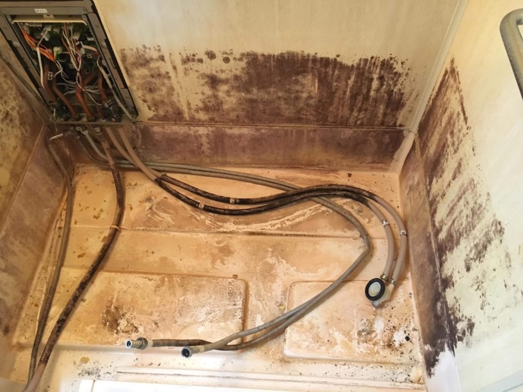 作業地域 大阪府吹田市 作業場所 浴室カビ取り 作業時間30分 料金 000円 神さまそうじ 作業地域 大阪府吹田市 作業場所 浴室カビ取り 作業時間30分 料金 000円 神さまそうじ